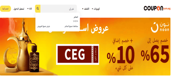 بحث شي إن